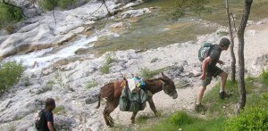 cousinade0509 026
